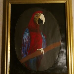 Colorful Parrot Wall Art